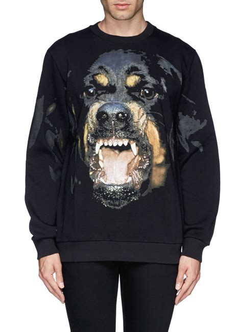 givenchy rottweiler sweater|givenchy rottweiler print sweatshirt.